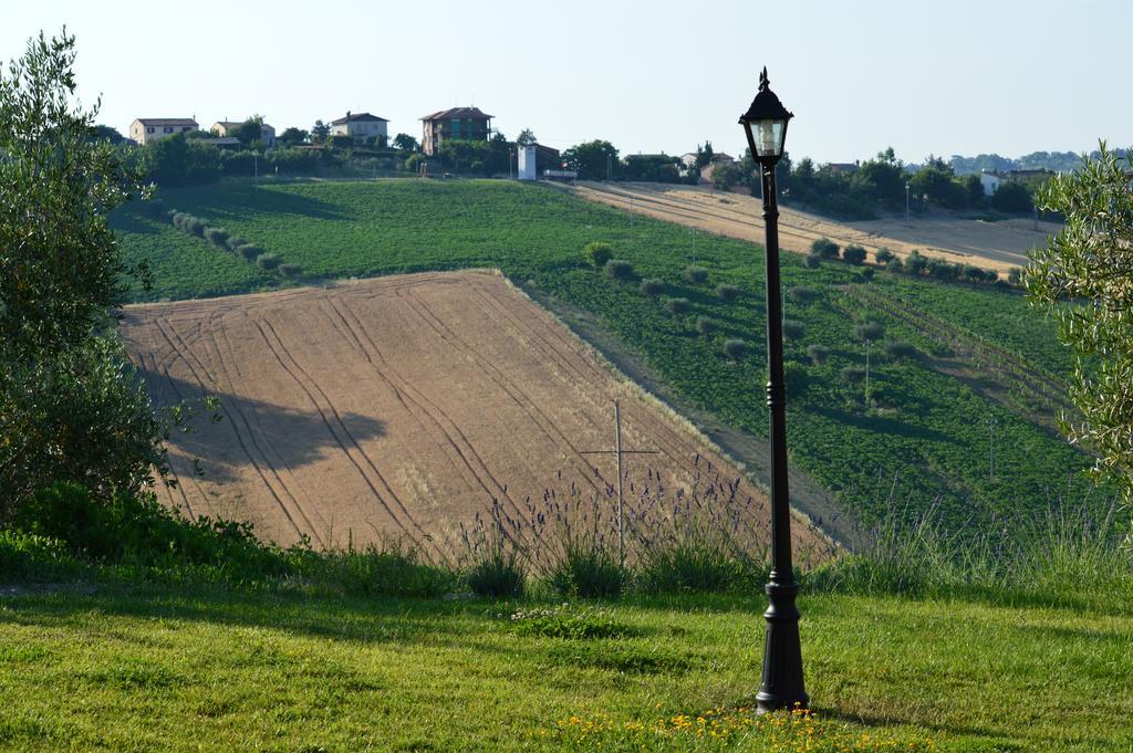 Agriturismo Tenuta Belvedere Villa Belvedere Ostrense Exterior foto